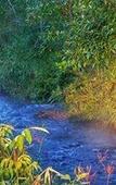 Туры в отель Mong Homestay Resort Туры в отель Mong Homestay Resort
