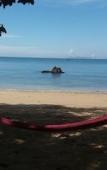Туры в отель Jungle Hill Beach Bungalow Туры в отель Jungle Hill Beach Bungalow