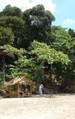 Туры в отель Jungle Hill Beach Bungalow Туры в отель Jungle Hill Beach Bungalow