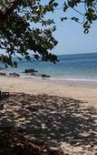 Туры в отель Jungle Hill Beach Bungalow Туры в отель Jungle Hill Beach Bungalow