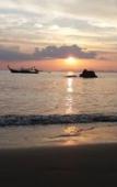 Туры в отель Jungle Hill Beach Bungalow Туры в отель Jungle Hill Beach Bungalow