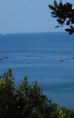 Туры в отель Jungle Hill Beach Bungalow Туры в отель Jungle Hill Beach Bungalow