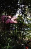 Туры в отель Jungle Hill Beach Bungalow Туры в отель Jungle Hill Beach Bungalow