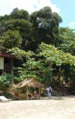 Туры в отель Jungle Hill Beach Bungalow Туры в отель Jungle Hill Beach Bungalow