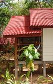 Туры в отель Jungle Hill Beach Bungalow Туры в отель Jungle Hill Beach Bungalow