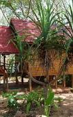 Туры в отель Jungle Hill Beach Bungalow Туры в отель Jungle Hill Beach Bungalow