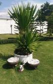 Туры в отель WhiteRock Resort Pakchong Туры в отель WhiteRock Resort Pakchong