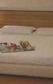 Туры в отель Nicotel Wellness Corato Туры в отель Nicotel Wellness Corato
