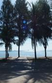 Туры в отель Palm Beach Resort Туры в отель Palm Beach Resort
