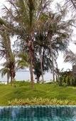 Туры в отель SEAnery Beach Resort Туры в отель SEAnery Beach Resort