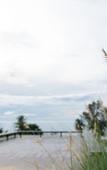 Туры в отель SEAnery Beach Resort Туры в отель SEAnery Beach Resort