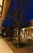 Туры в отель The Series Resort Khaoyai Туры в отель The Series Resort Khaoyai