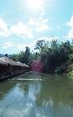 Туры в отель The River Life Resort Туры в отель The River Life Resort