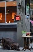Туры в отель Namnon Place Туры в отель Namnon Place