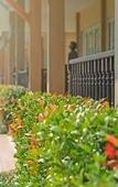 Туры в отель Scent Of Sukhothai Resort Туры в отель Scent Of Sukhothai Resort