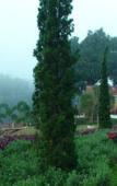 Туры в отель Riverside Hill Resort & Restaurant Туры в отель Riverside Hill Resort & Restaurant