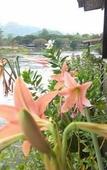 Туры в отель Khaothone River View Resort Туры в отель Khaothone River View Resort