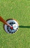 Туры в отель The Royal Chiangmai Golf Resort Туры в отель The Royal Chiangmai Golf Resort