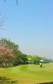 Туры в отель The Royal Chiangmai Golf Resort Туры в отель The Royal Chiangmai Golf Resort