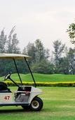 Туры в отель The Royal Chiangmai Golf Resort Туры в отель The Royal Chiangmai Golf Resort