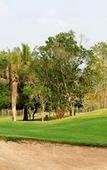Туры в отель The Royal Chiangmai Golf Resort Туры в отель The Royal Chiangmai Golf Resort