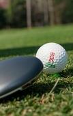Туры в отель The Royal Chiangmai Golf Resort Туры в отель The Royal Chiangmai Golf Resort