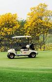 Туры в отель The Royal Chiangmai Golf Resort Туры в отель The Royal Chiangmai Golf Resort