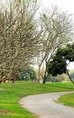 Туры в отель The Royal Chiangmai Golf Resort Туры в отель The Royal Chiangmai Golf Resort