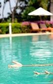 Туры в отель The Royal Chiangmai Golf Resort Туры в отель The Royal Chiangmai Golf Resort