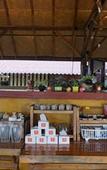 Туры в отель Maesalong Mountain Home Resort Туры в отель Maesalong Mountain Home Resort