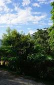 Туры в отель Maesalong Mountain Home Resort Туры в отель Maesalong Mountain Home Resort