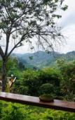 Туры в отель Maesalong Mountain Home Resort Туры в отель Maesalong Mountain Home Resort