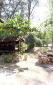 Туры в отель Fisherman's Huts Туры в отель Fisherman's Huts