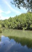Туры в отель Fisherman's Huts Туры в отель Fisherman's Huts