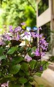 Туры в отель Rao Ga Khao Resort Туры в отель Rao Ga Khao Resort