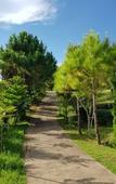 Туры в отель Ban Mae Resort Туры в отель Ban Mae Resort