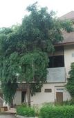 Туры в отель Phureenun Resort Туры в отель Phureenun Resort