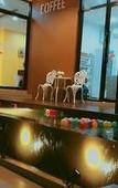 Туры в отель The Terrace Khlongtoei Туры в отель The Terrace Khlongtoei