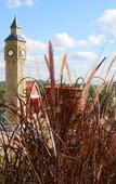 Туры в отель Breeze Hill Hotel Туры в отель Breeze Hill Hotel