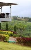 Туры в отель Breeze Hill Hotel Туры в отель Breeze Hill Hotel