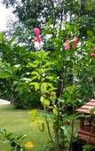 Туры в отель Banviewnam Camping & Resort Туры в отель Banviewnam Camping & Resort