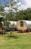 Туры в отель Golden Gold Resort & Spa Khaoyai Туры в отель Golden Gold Resort & Spa Khaoyai