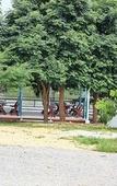 Туры в отель Golden Dragon Resort Туры в отель Golden Dragon Resort