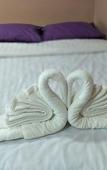Туры в отель Golden Dragon Resort Туры в отель Golden Dragon Resort