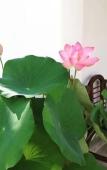 Туры в отель OldTown Boutique House Туры в отель OldTown Boutique House