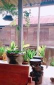 Туры в отель OldTown Boutique House Туры в отель OldTown Boutique House