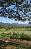 Туры в отель Riverside Homestay Туры в отель Riverside Homestay