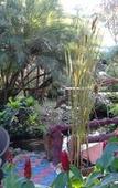 Туры в отель Riverside Homestay Туры в отель Riverside Homestay