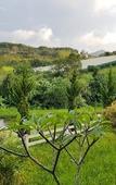 Туры в отель Mossview Resort Туры в отель Mossview Resort