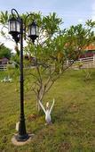 Туры в отель Mossview Resort Туры в отель Mossview Resort